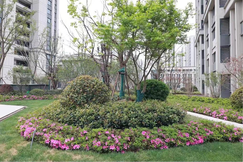 交通便当、、配套齐全，，，824套包管房即将交付！！！